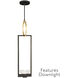 Delphi LED 7 inch Black Drop Light Ceiling Light in Down