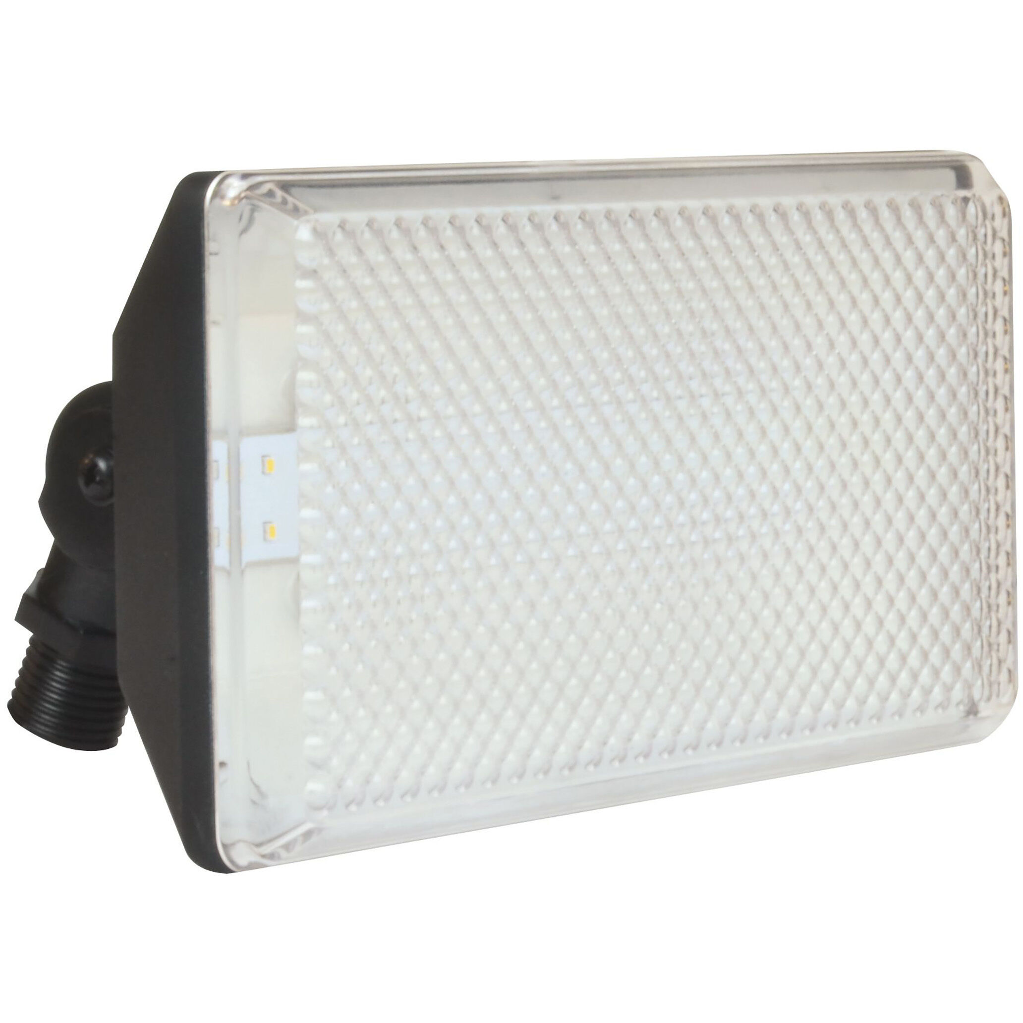 Tpdw Outdoor Floodlight