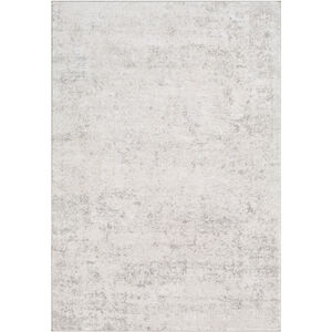 Ainsley 60 X 31 inch Light Gray Rug, Rectangle