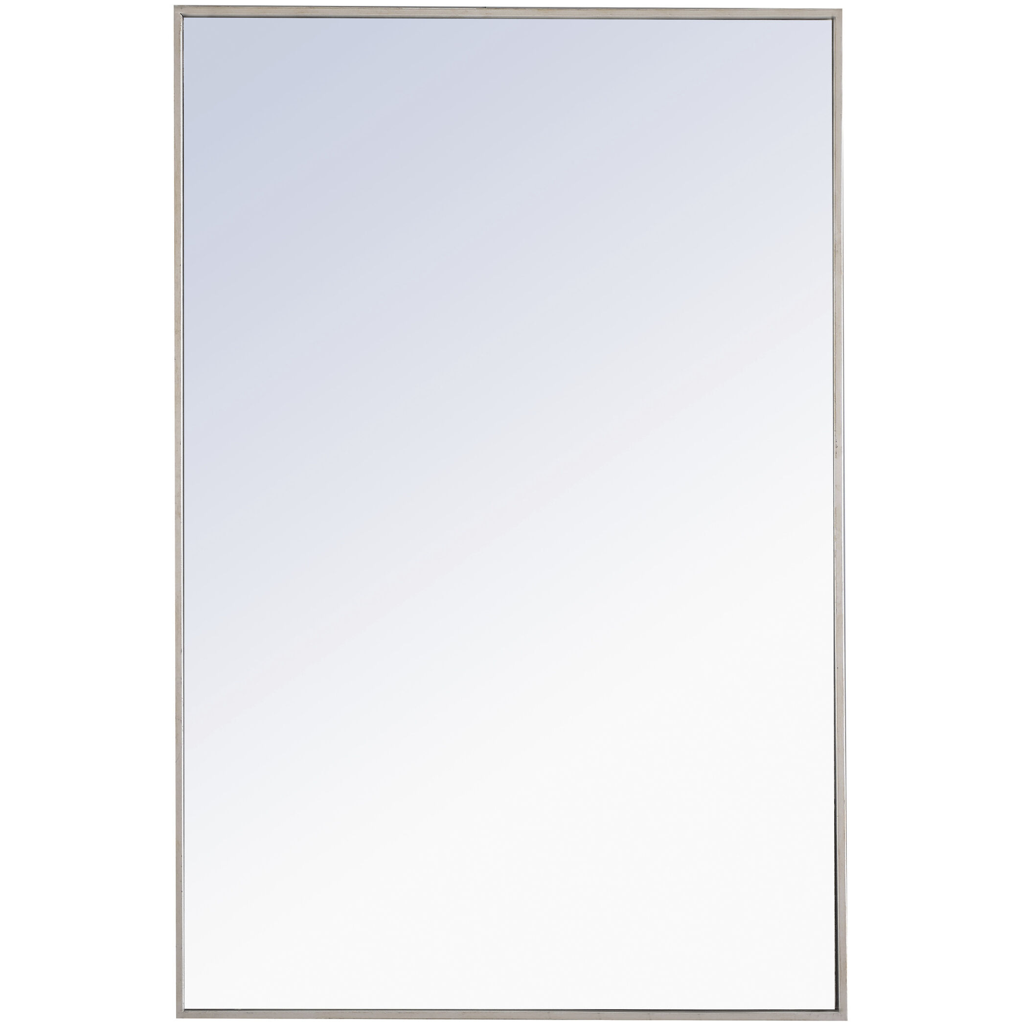 Monet 42 X 28 inch Silver Wall Mirror