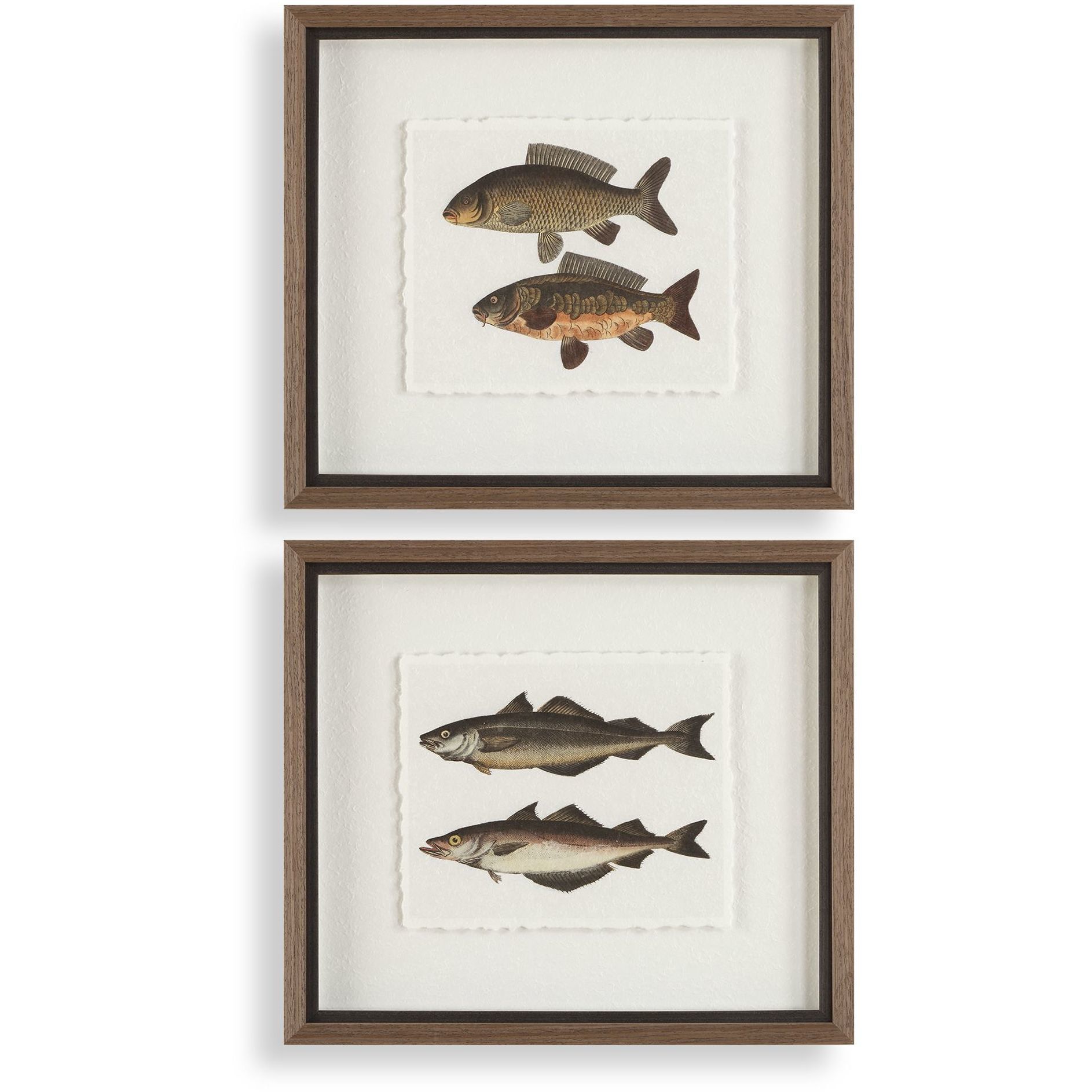 The Catch 20.5 X 18.25 inch Framed Fish Prints, Set of 2