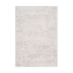 Ainsley 36 X 24 inch Light Gray Rug, Rectangle