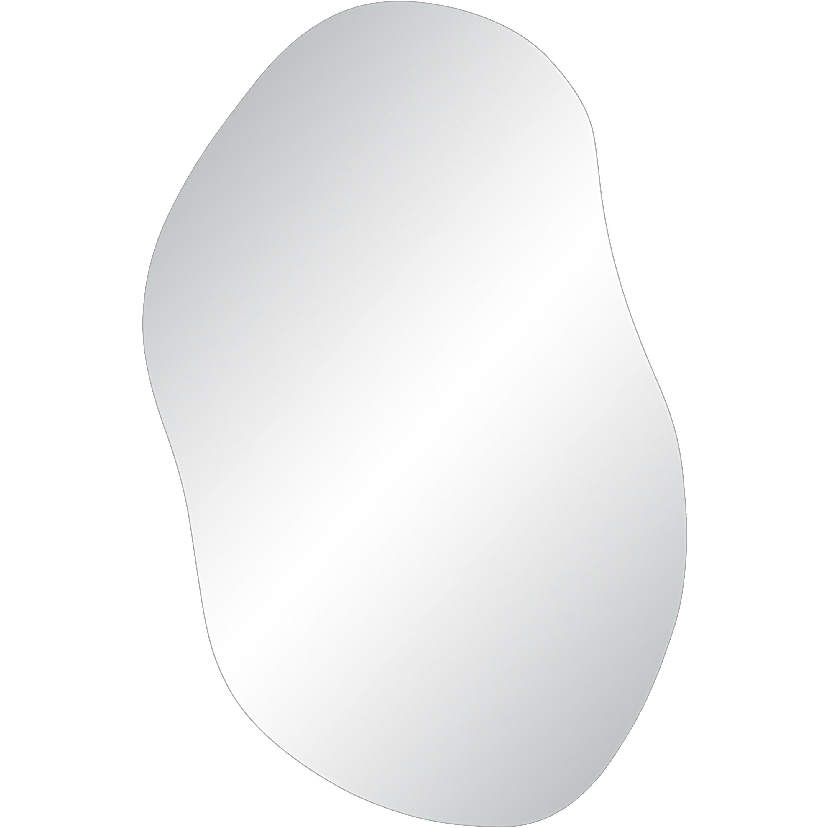 Angelonia 45.25 X 30 inch Wall Mirror