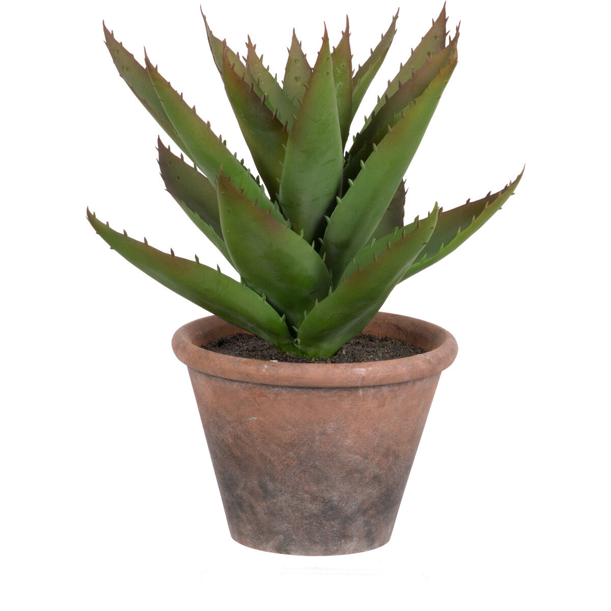 Faux Succulent Green Faux Flowers