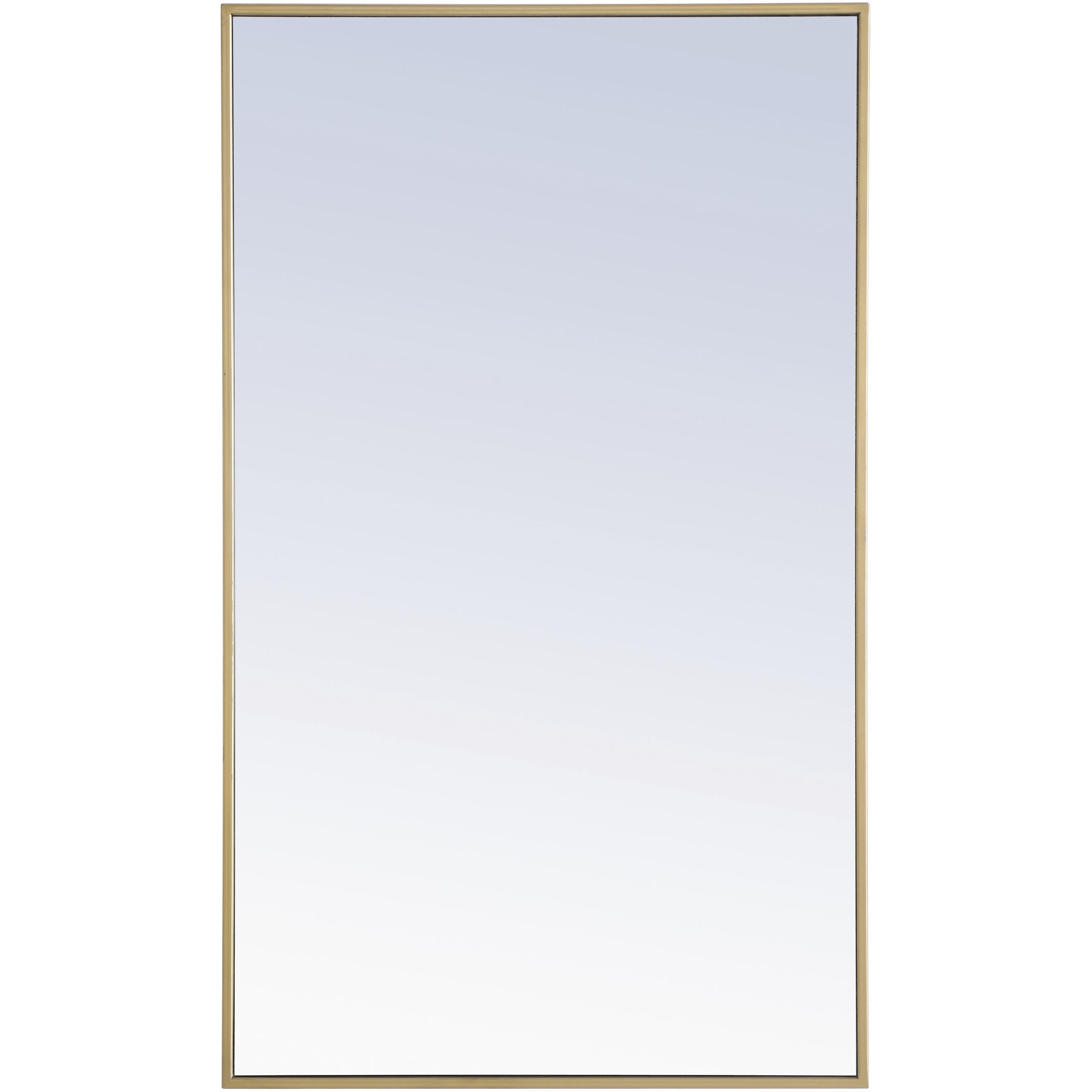 Monet 40 X 24 inch Brass Wall Mirror