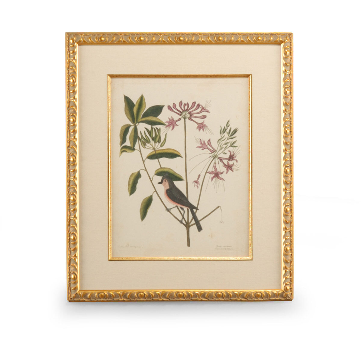 Chelsea House 26 X 22 inch Print