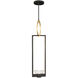 Delphi LED 7 inch Black Drop Light Ceiling Light