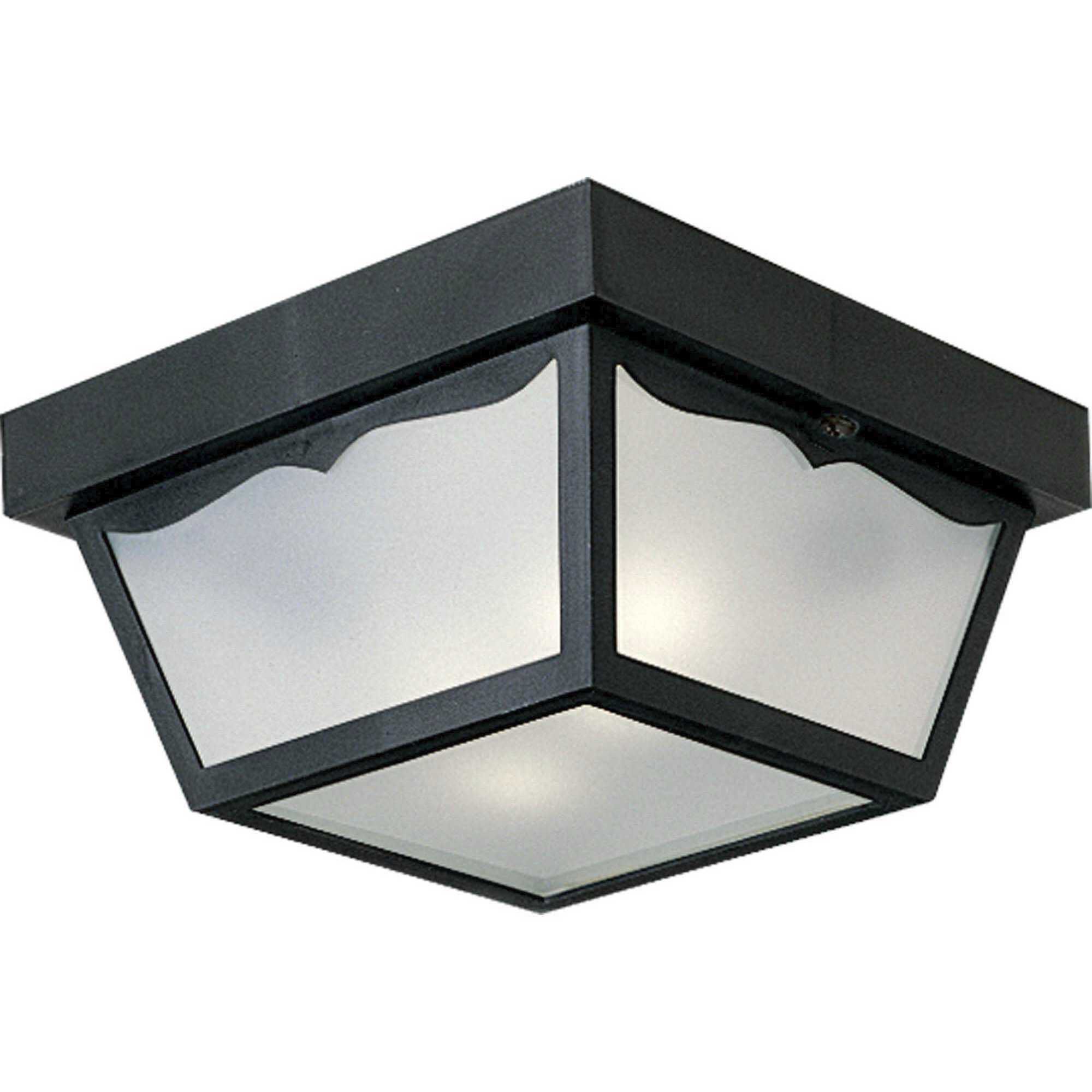 Ceiling Mount 2 Light 10.25 inch Outdoor Ceiling Light