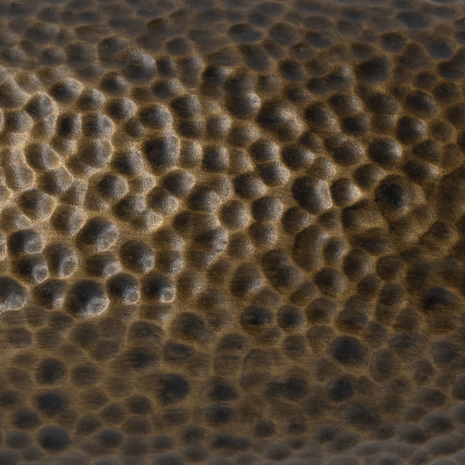 Radiance Collection LED 8 inch Hammered Brass with Dark Bronze Pendant Ceiling Light