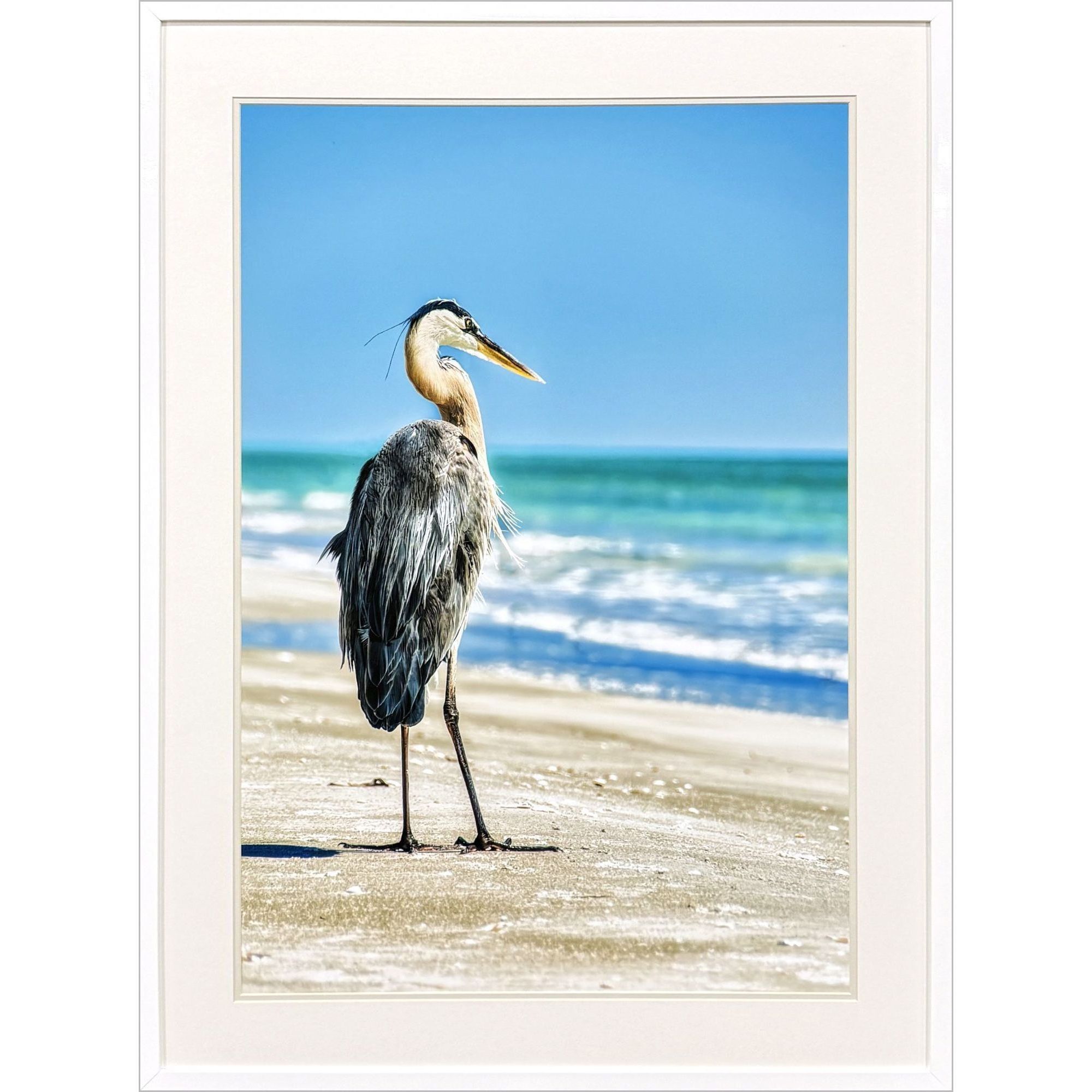 Avian Perspective Blue and Brown and Neutral and Turquoise Framed Art