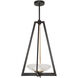 Delphi LED 18 inch Black Pendant Ceiling Light