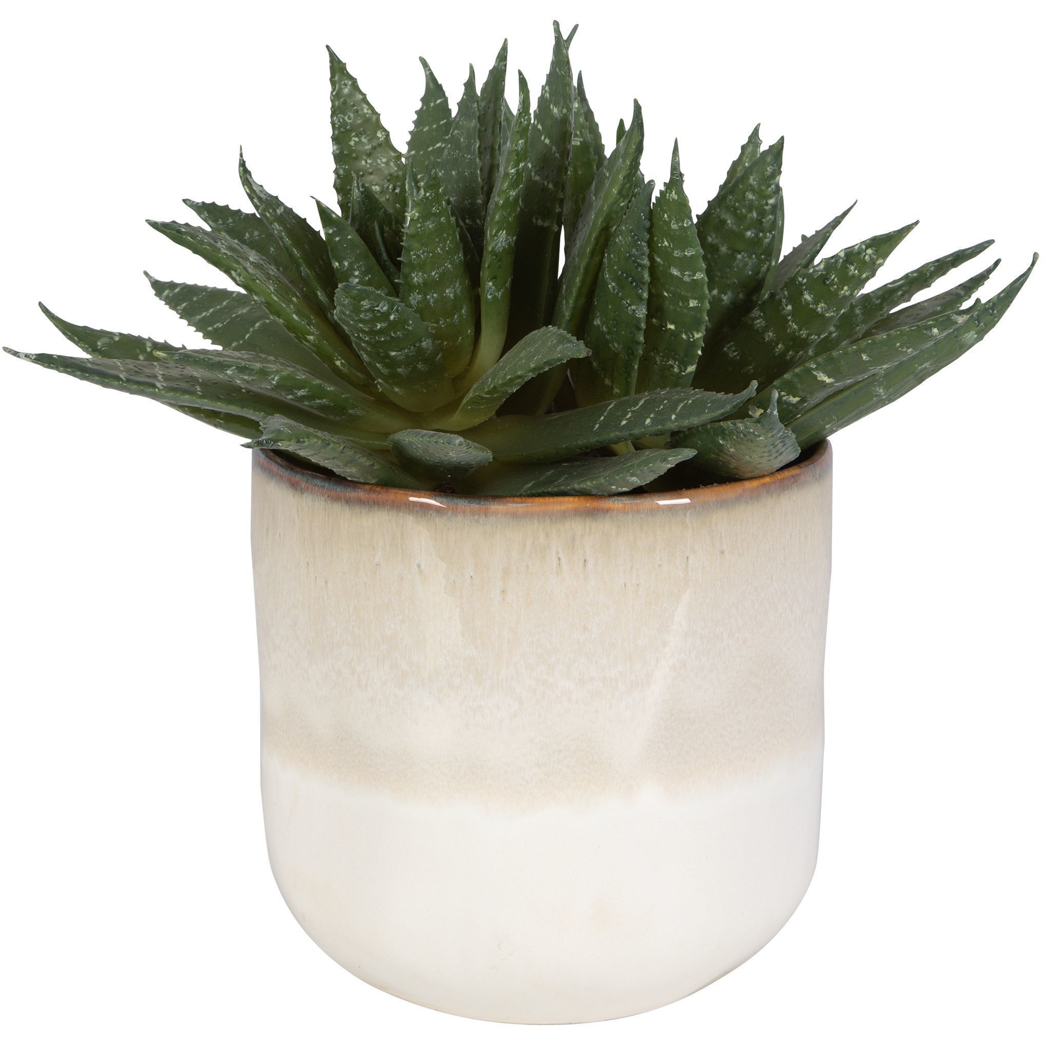 Doha Green with Beige And Tan Glaze Succulent Accent