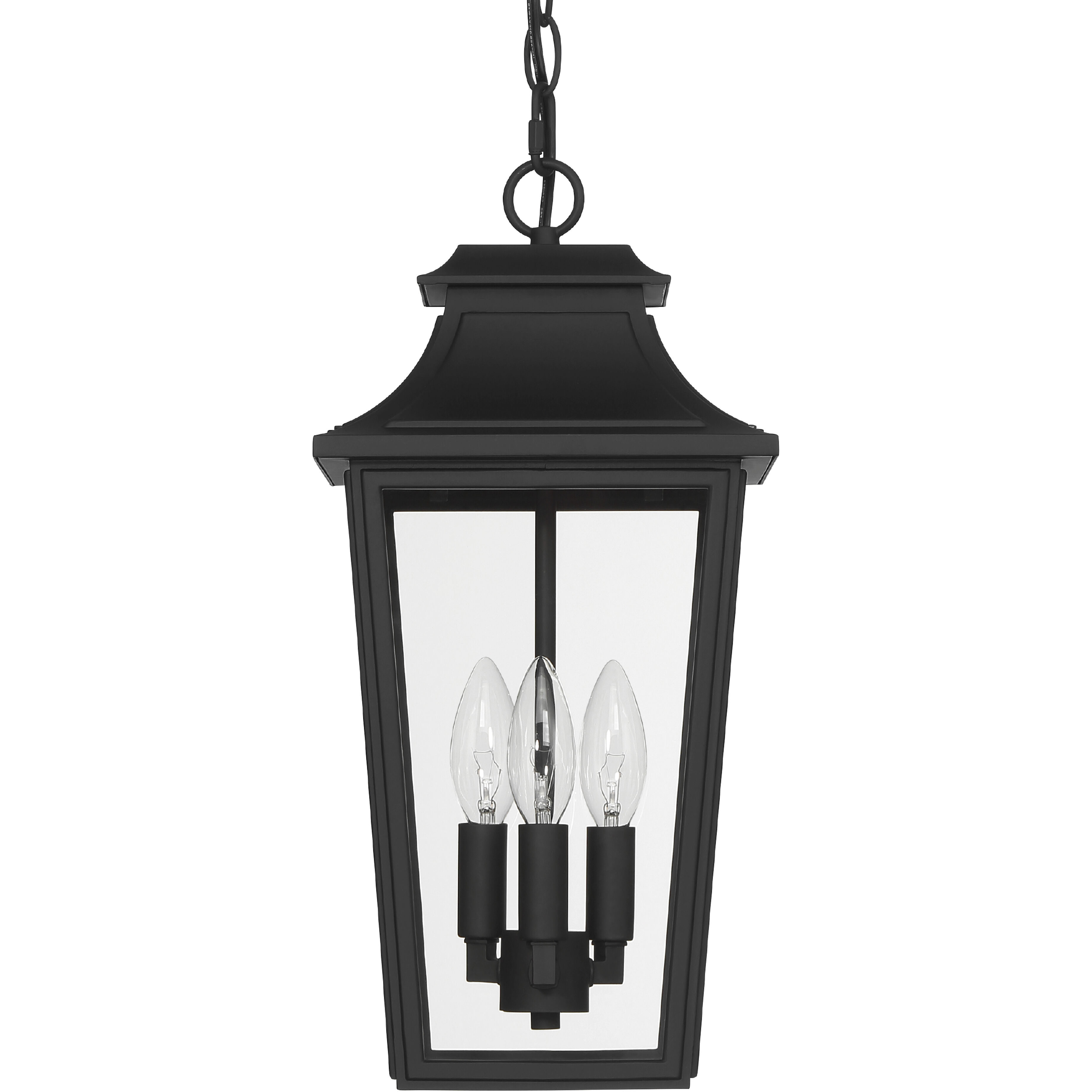 Spring Cove 3 Light 8 inch Matte Black Outdoor Pendant, Large