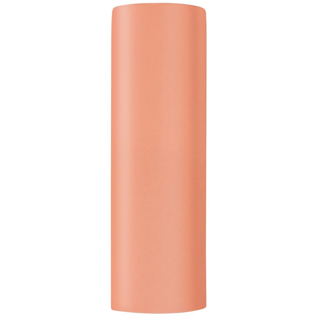 Ambiance Outdoor Wall Sconce