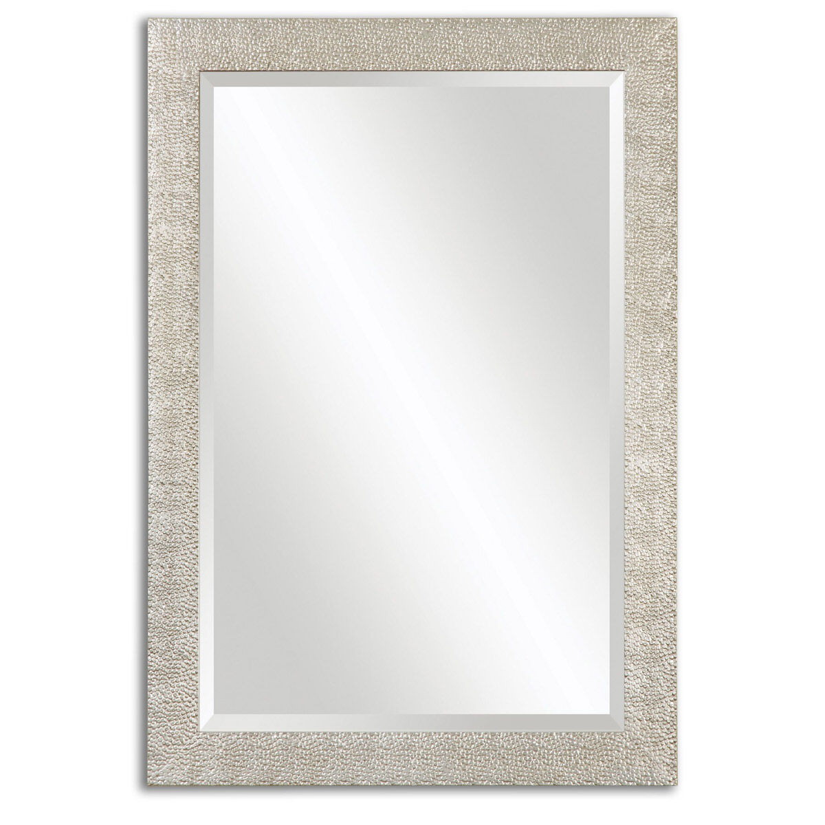 Porcius 41 X 29 inch Antiqued Silver Wall Mirror