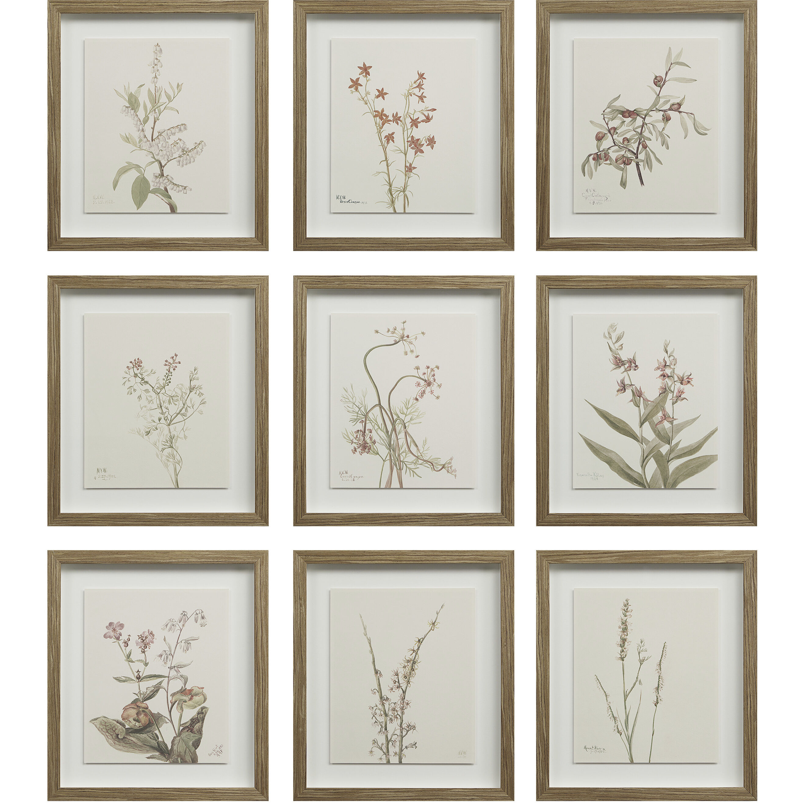 Crema 15 X 13.25 inch Printed Artworks, Set of 9