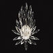 Lily Buds Wall Sconce Wall Light in Silver