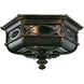 Warwickshire 3 Light 21 inch Black Outdoor Flush Mount 